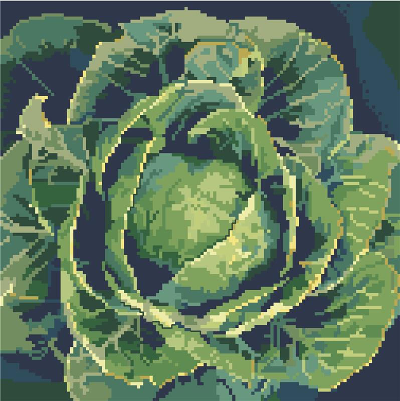 (image for) Glorious Cabbage